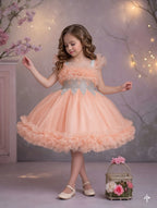 Luxury Princess Dress - Code 503